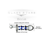 GLASS-STAR-13-BOCUS