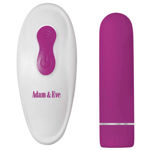 EVE-S-RECHARGEABLE-REMOTE-CONTROL-BULLET