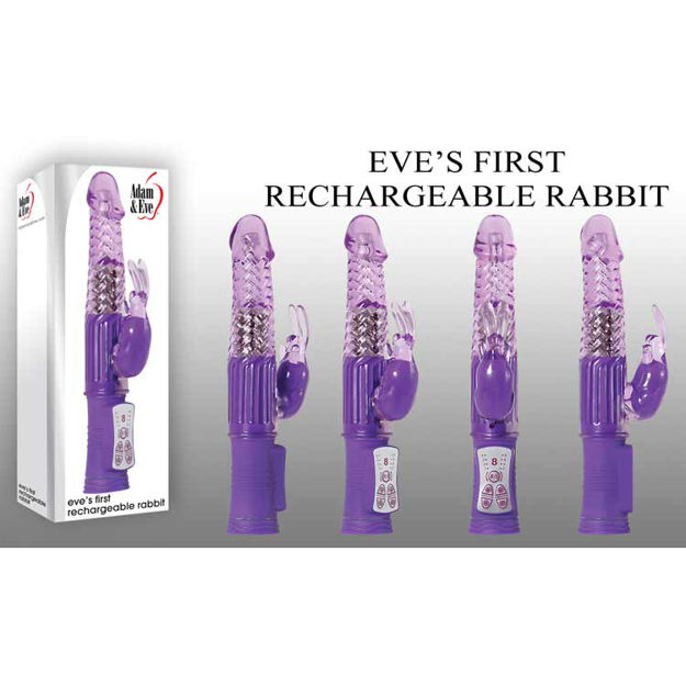 EVE-S-FIRST-RECHARGEABLE-RABBIT