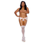 ALL-IN-1-Garter-Panty-Peach-Plus-Size